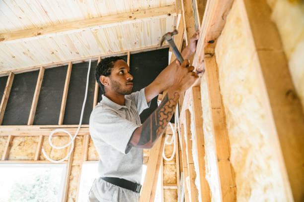 Insulation Contractors for Homes